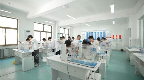 技能啟航未來，職教鑄就夢想——蘭州資源環(huán)境職業(yè)技術大學旅游信息咨詢服務專業(yè)建設探索